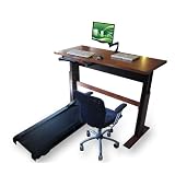 Signature Sit2Stand Treadmill Desk