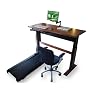Signature Sit2Stand Treadmill Desk