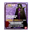 Saint Seiya Saint Cloth Myth Hades Shun Limited Edition Action Figure