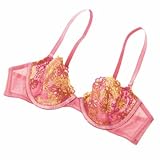 gvWEB胉WF[desiruuEXp[NvuW[(F Cup)