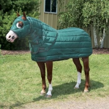Kensington All Around 600D Full Stable Hood Large