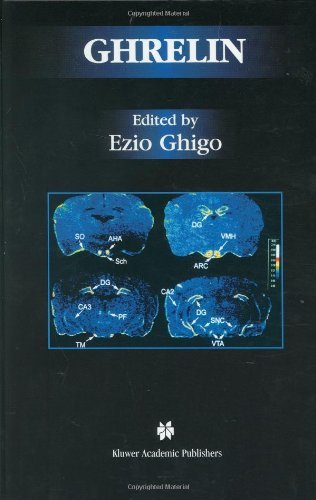 Ghrelin (Endocrine Updates) On Sale