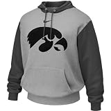 Iowa Hawkeyes Seasonal Nike Gray Hooded Sweatshirt Hoody