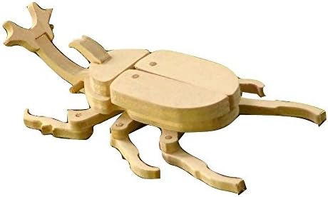 Insect tool kit beetle