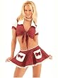 SALE Sexy School Girl Costume Top Mini Skirt Set Plaid Schoolgirl