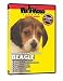   - Beagle DVD, Dog Guide DVD, Books, Pet Accessory, Home & Garden