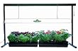 Hydrofarm JSV4 4-Foot Jump Start T5 Grow Light System