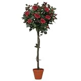 f-DECO ���[�Y���b�h 120cm