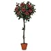 f-DECO ���[�Y���b�h 120cm