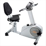 Elite Total Body Recumbent Bike