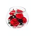 ���s�X�@�{�g���t�����[�E�{�[��M�@��o���i�ԁj