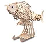 Review Quay  / Carp - Woodcraft Construction Kit
