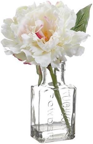 Peony in Glass Vase [Set of 12] Color: Pink