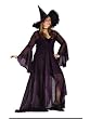 Purple Classic Witch Shimmer Plus Size Costume Witch Hat