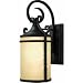 Hinkley Casa 1140OL 1 Light 60 watt (13