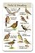 Identiflyer SongCard - Field and Meadow