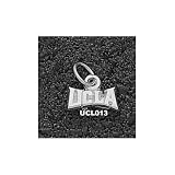 UCLA Bruins Solid Sterling Silver ''UCLA'' 1/4'' Pendant