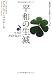 平和の生滅―生存の矛盾を超えて (お釈迦さまが教えたこと)