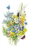 New Droll Yankees Inc 12in. Flower Illustration Bluebird Nest Box Set Of 2 For Cavity Nesting Birds