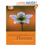Ecology and Evolution of Flowers