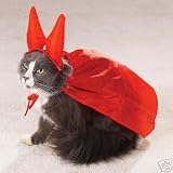 Plus Pet Safety Tips