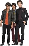 Jonas Brothers Group Kevin Joe Nick Life-size Cardboard Standup Standee Cutout Poster 8