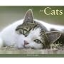 Just Cats 2010 Calendar