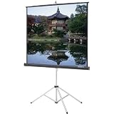Da-Lite Screen Company, Inc. 76026