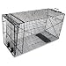 FreeShipping Wild dogs, Coyotes, Foxes Trap 50"x24"x19" Foldable