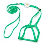 Coastal Pet Products Li'l Pals Daisy Combo Harness and Lead for Puppies and Toy Breeds