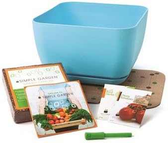 Simple Garden Square Planter Box Color: Blue