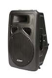 Patron PSA2000P 1200W Max, 12-Inch DJ Speaker with Built-in Amplifier and 5-Band EQ
