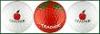 Teacher Golf Balls w/ Apple Variety