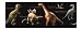 York Wallcoverings Candice Olson Kids CK7642B Dino Border, Black