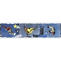 Extreme Sports X Games Snow Board Wall Border