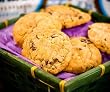 Kosher Gourmet Oatmeal Raisin 80 Cookie Gift Tin