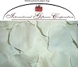 1000 Silk Rose Petals Wedding Favors - Solid Colors - Ivory