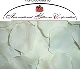 100 Silk Rose Petals Wedding Favors - Solid Colors - Ivory