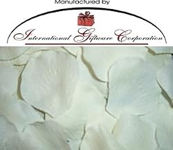 1000 Silk Rose Petals Wedding Favors - Solid Colors - Ivory