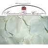 200 Silk Rose Petals Wedding Favors - Solid Colors - Ivory
