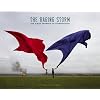 The Raging Storm: The Album Graphics of StormStudios