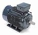 30 hp 22 kw 3600 RPM 180M Frame 230/460V Marathon Electric Metric Motor # R342A