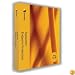 Symantec Endpoint Protection 11.0 10 Users