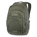Sports : DAKINE Freizeit Surf Rucksack Interval Pack, 28 Liter, olive