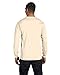 Fruit of the Loom HD6L Adult Lofteez HD Long-Sleeve T-Shirt