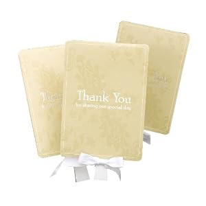 Hortense B. Hewitt Wedding Accessories Favor Fans, Gold Flour