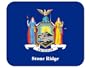 US State Flag - Stone Ridge, New York (NY) Mouse Pad