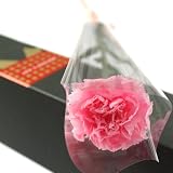 母の日ギフト「カーネーションGIFTボックス」（プリザーブドフラワー：ピンク）