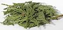 Cedar Tips 2oz
