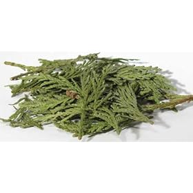 Cedar Tips 2oz